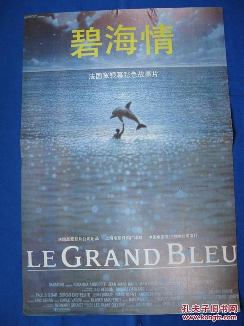 巴黎九大商业管理文凭证书